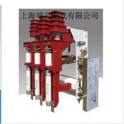 質(zhì)量好的FZN25-12高壓負荷開關(guān)溫州口碑好的公司供應(yīng)