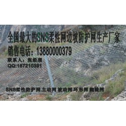被動(dòng)網(wǎng)RX050RXI200——哪里能買(mǎi)到物超所值的被動(dòng)菱形網(wǎng)