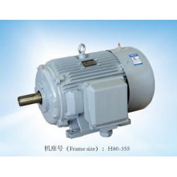 專業(yè)的閥門電機(jī)，哪里可以買到精湛的YE2系列三相異步電動(dòng)機(jī)