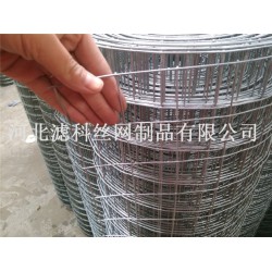 全球領(lǐng)導(dǎo)品牌¤廠家濾科供應(yīng)優(yōu)質(zhì)不銹鋼鋼筋電焊網(wǎng)，價格也不