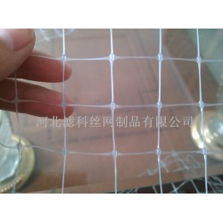 人氣新品，誠意來襲★雙向拉伸塑料網(wǎng)