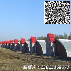 日光溫室設(shè)計安裝+連棟溫室大棚設(shè)計+冬暖式溫室大棚+蔬菜大棚