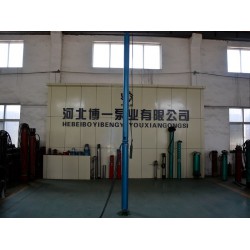 博一泵業(yè)性?xún)r(jià)比高的高揚(yáng)程潛水泵出售，高揚(yáng)程溫泉專(zhuān)用泵廠家哪個(gè)好