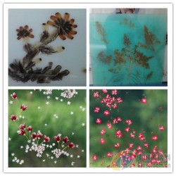 調(diào)光玻璃夾膠爐 調(diào)光玻璃夾膠爐價格   玻璃夾膠爐廠家