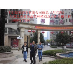 濰坊可信賴的蔬菜大棚建造公司，當(dāng)屬千匯溫室——蔬菜大棚造價(jià)