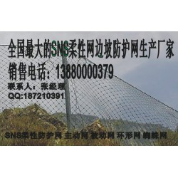 遂寧被動(dòng)網(wǎng)，新款被動(dòng)防護(hù)網(wǎng)成都有售