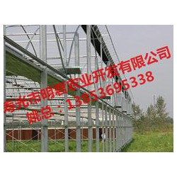 【誠薦】智能溫室大棚建設(shè)訊息，溫室大棚搭建報價