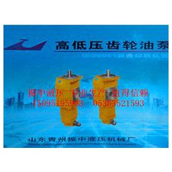 優(yōu)質(zhì)雙聯(lián)齒輪油泵認準振中液壓機械，雙聯(lián)齒輪油泵