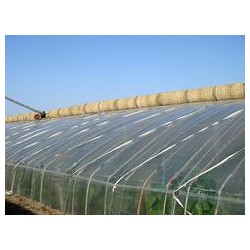 華盾塑料供應(yīng)優(yōu)良的壽光大棚膜，華盾大棚PO膜