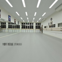 PVC舞蹈專用地膠，PVC專業(yè)舞蹈地膠