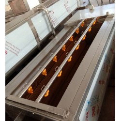 黃桃清洗機(jī)，黃桃罐頭加工全套設(shè)備