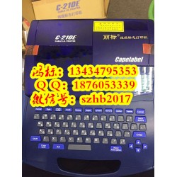麗標佳能線號打字機C-920T