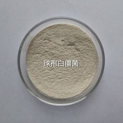 白僵菌病原真菌廣譜殺蟲(chóng)劑生產(chǎn)廠(chǎng)家供應(yīng)商