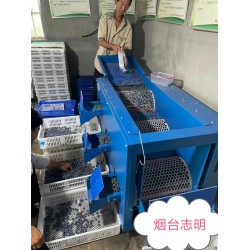 長沙市藍(lán)莓調(diào)速滾筒選果分*機(jī)廠家批發(fā)
