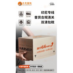 廣州到印尼泗水直航海運多少錢？**印尼雙清到門專線