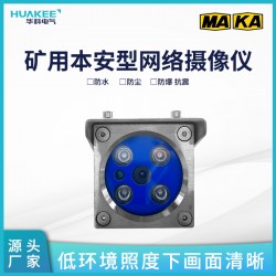 新疆礦用本安型網(wǎng)絡(luò)攝像儀 井下防爆攝像儀